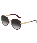 DOLCE & GABANNA 0DG2227J-13188G