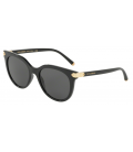 DOLCE & GABANNA 0DG6117-50187