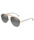 DOLCE & GABANNA 0DG2235-0288