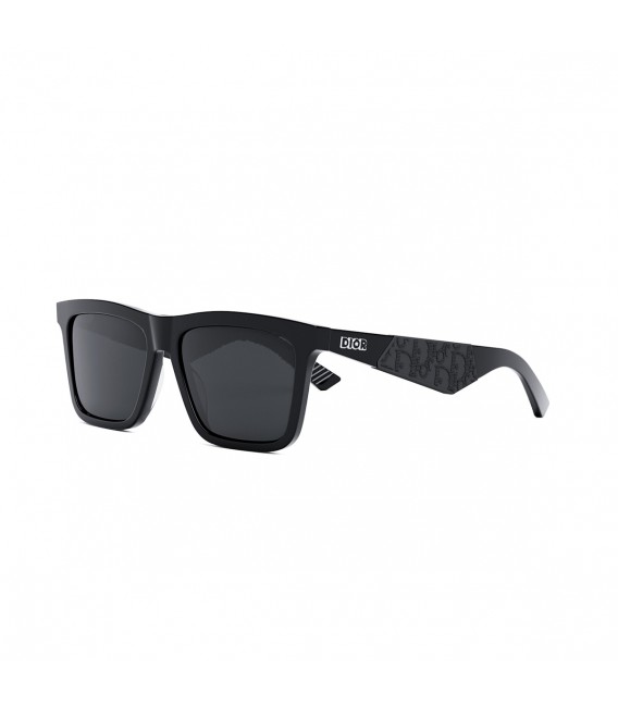 DIOR B27