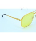 Hilton eyewear vintage